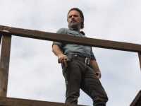 ������� ��������