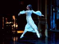 �������� ����� �����