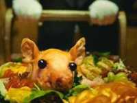 ���� Russia: ���� ������