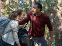 � ������ ���� ������