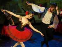 ������������ ����