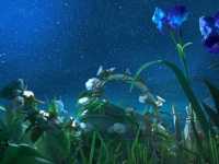 ������ ����� ���������