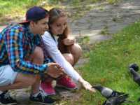 ���� �����