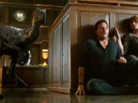 ��� ������� ������� 2