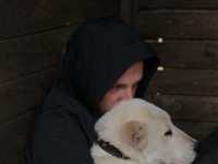 ������ ����