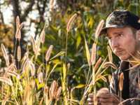 ����� �� ������ ���������