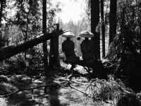 ����� ��� ���