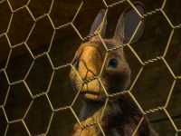 ��������� ������