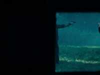 ������ ��������