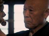 ������: ����� ������ ����