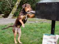 ���� �����