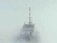 ������ ���������