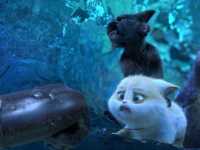 ������� ������� �����