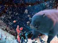 ������� ������� �����