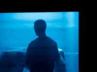 ������ ��������