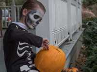 ����: ������������