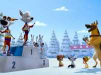 ����� � �������: ���������� �������