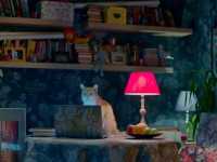 �������