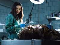 �������� �����