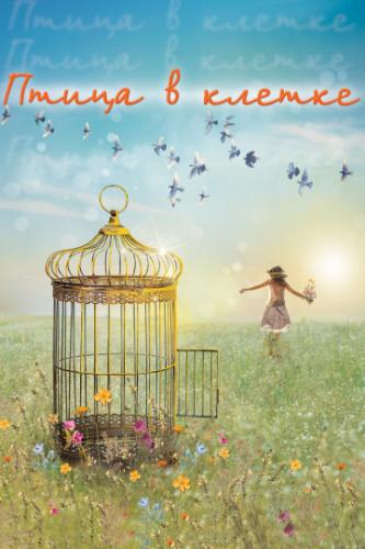 ����� � ������ (2014)