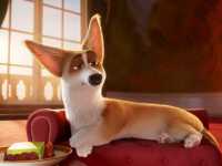 ����������� �����