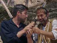 ������ �����������