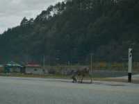 ����� � �����