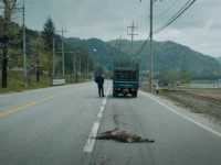 ����� � �����