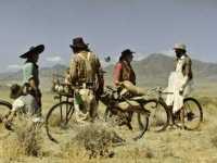 ���� ������