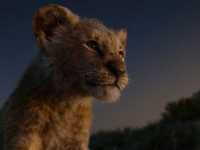 ������ ���