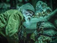 ������� ������