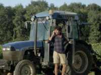 #������-�����, ��� ��� ������ �������