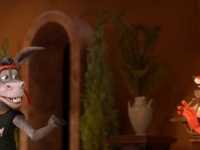 ���� ������