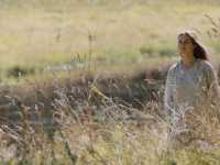 ���� ����