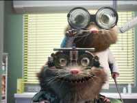 ��� ��� ����������