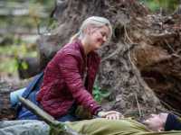 �������� �����