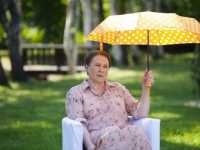 � ���� �� ���