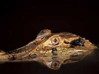 ��������: ���������� �� ���������