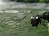 �������. ����������� � ������ ��������