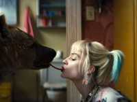 ������ �����: ����������� ������� ����� �����