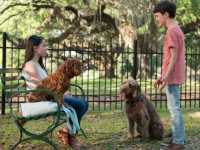 ����� ��� ������