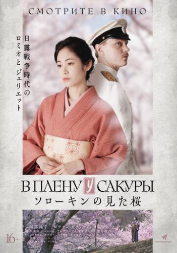 � ����� � ������ / Sorokin no Mita Sakura (2019)