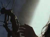 ��� �� ������ �������