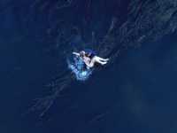 �������� ��������