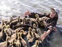 �������� ������