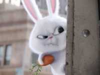 ������ ����� �������� ��������