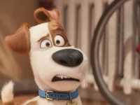 ������ ����� �������� ��������