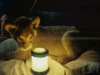 ������-�������