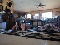 ������� ���������