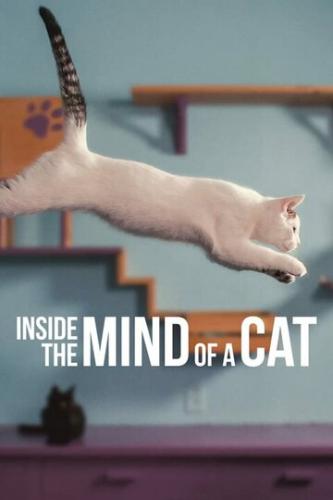 ������ ������ ����� / Inside the Mind of a Cat (2022)